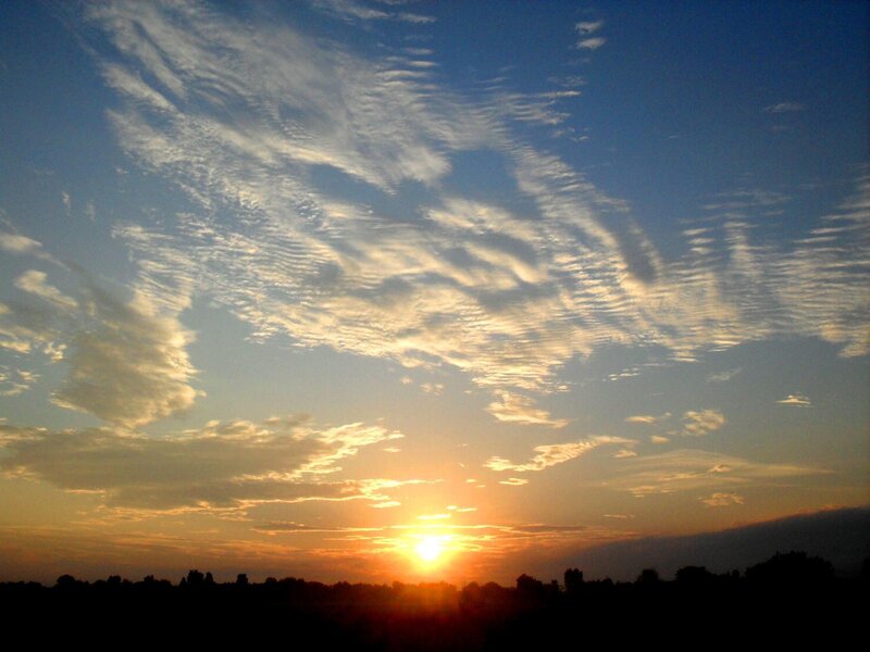 Sun Setting Behind Trees — Blue