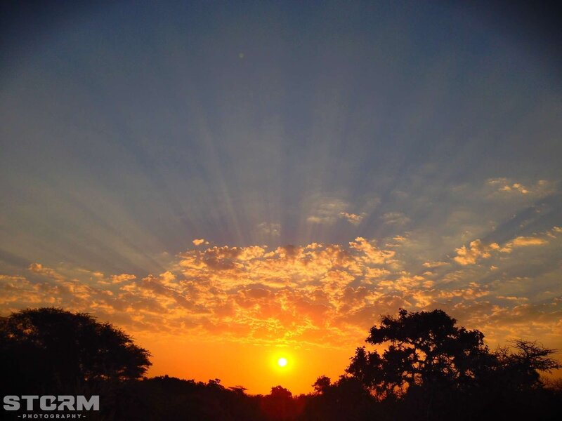 Sun Setting Behind Trees — Clouds