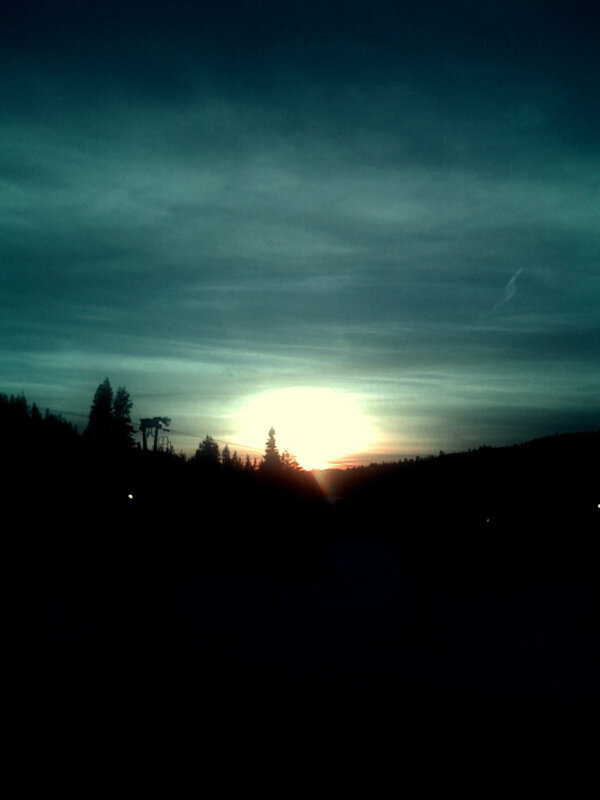 Sun Setting Behind Trees — Dark Blue