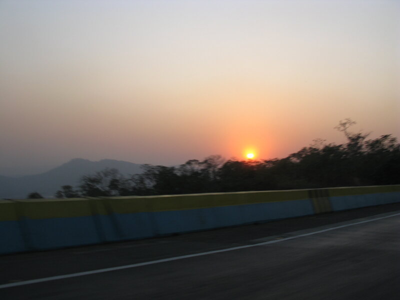 Sun Setting Behind Trees — Orange, Calm