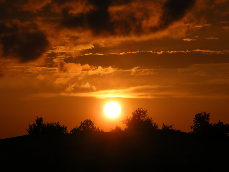 Sun Setting Behind Trees — Orange, Clouds
