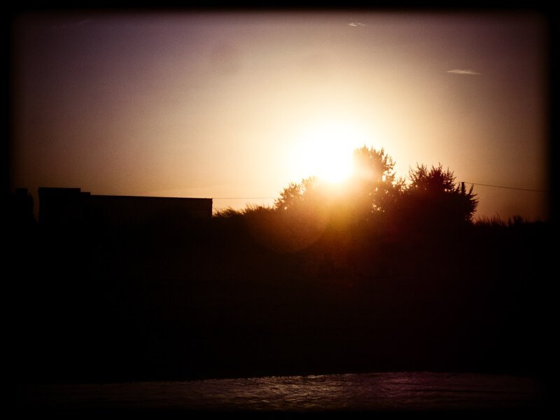 Sun Setting Behind Trees — Orange, Dramatic, Sunset, Photograph, Building, Sky