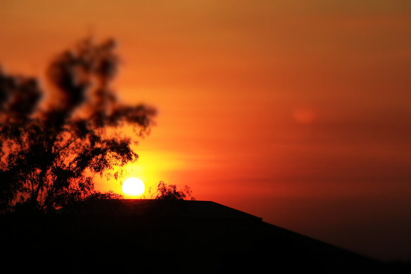 Sun Setting Behind Trees — Orange, Dramatic, Sunset, Photograph, Building