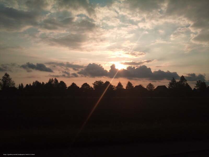 Sun Setting Behind Trees — Orange, Dramatic, Sunset, Photograph, Clouds, Field