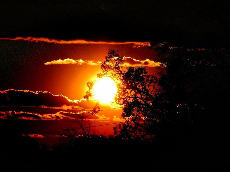Sun Setting Behind Trees — Orange, Dramatic, Sunset, Photograph, Clouds, Power Lines