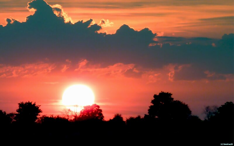 Sun Setting Behind Trees — Orange, Dramatic, Sunset, Photograph, Clouds, Red