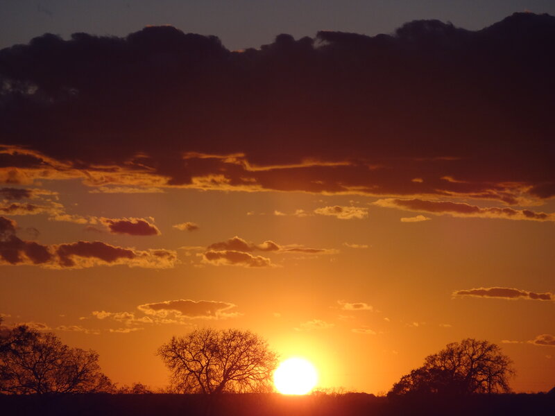 Sun Setting Behind Trees — Orange, Dramatic, Sunset, Photograph, Clouds, Sky