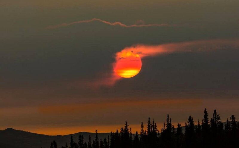 Sun Setting Behind Trees — Orange, Dramatic, Sunset, Photograph, Mountains