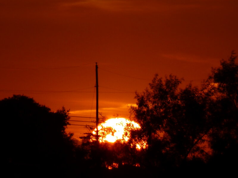 Sun Setting Behind Trees — Orange, Dramatic, Sunset, Photograph, Pole