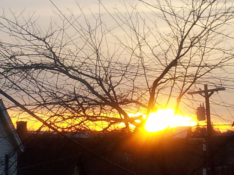 Sun Setting Behind Trees — Orange, Dramatic, Sunset, Photograph, Power Lines, House