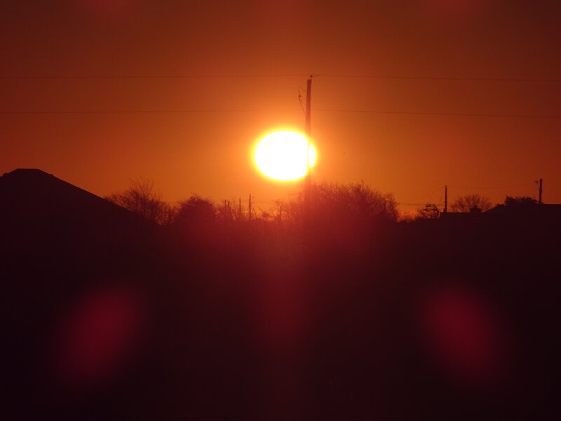 Sun Setting Behind Trees — Orange, Dramatic, Sunset, Photograph, Power Lines