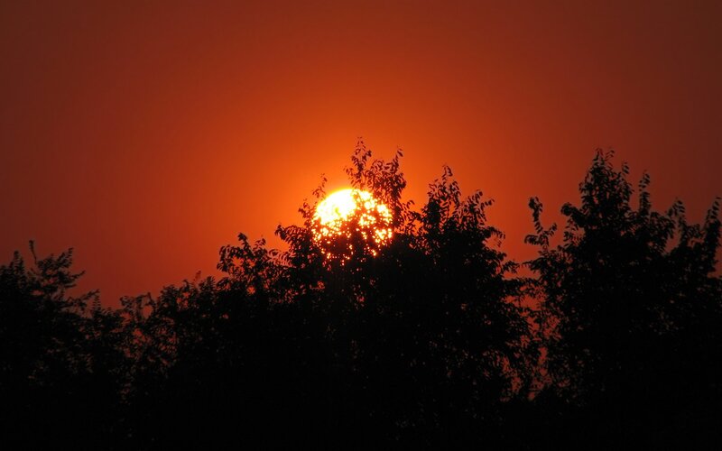 Sun Setting Behind Trees — Orange, Dramatic, Sunset, Photograph, Sky, Black