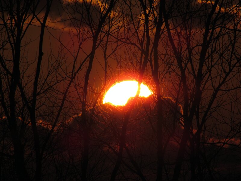 Sun Setting Behind Trees — Orange, Dramatic, Sunset, Photograph, Sky, Clouds, Black, Red