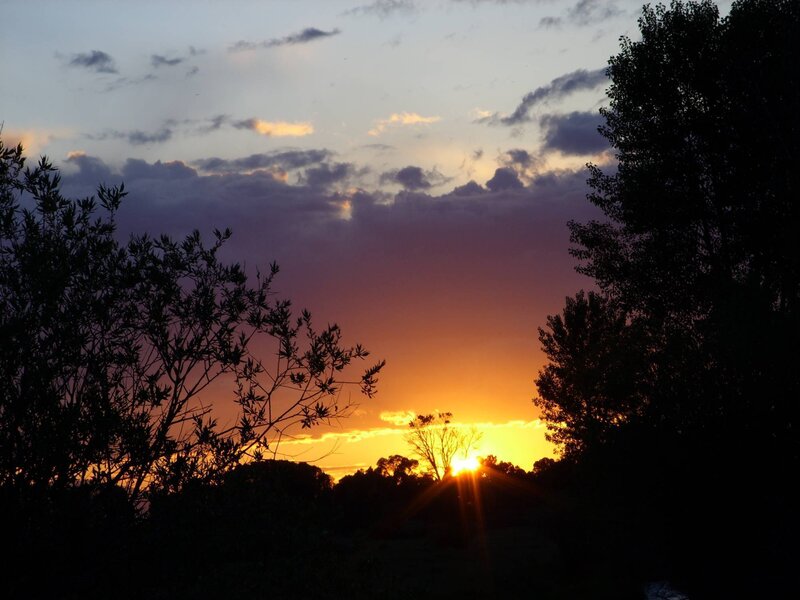 Sun Setting Behind Trees — Orange, Dramatic, Sunset, Photograph, Sky, Clouds