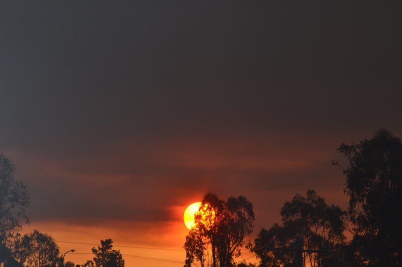 Sun Setting Behind Trees — Orange, Dramatic, Sunset, Photograph, Sky, Power Lines