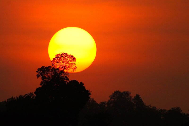 Sun Setting Behind Trees — Orange, Dramatic, Sunset, Photograph, Sky, Yellow, Black
