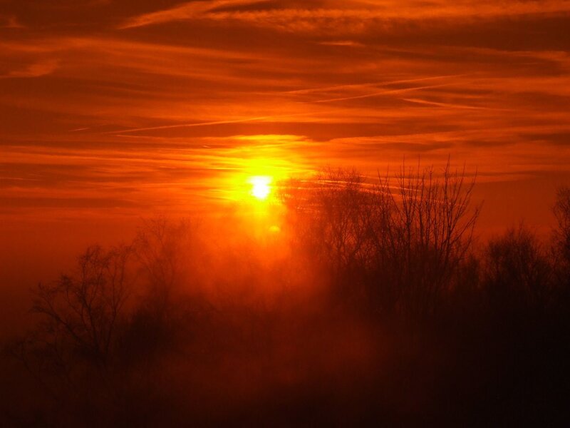 Sun Setting Behind Trees — Orange, Dramatic, Sunset, Photograph