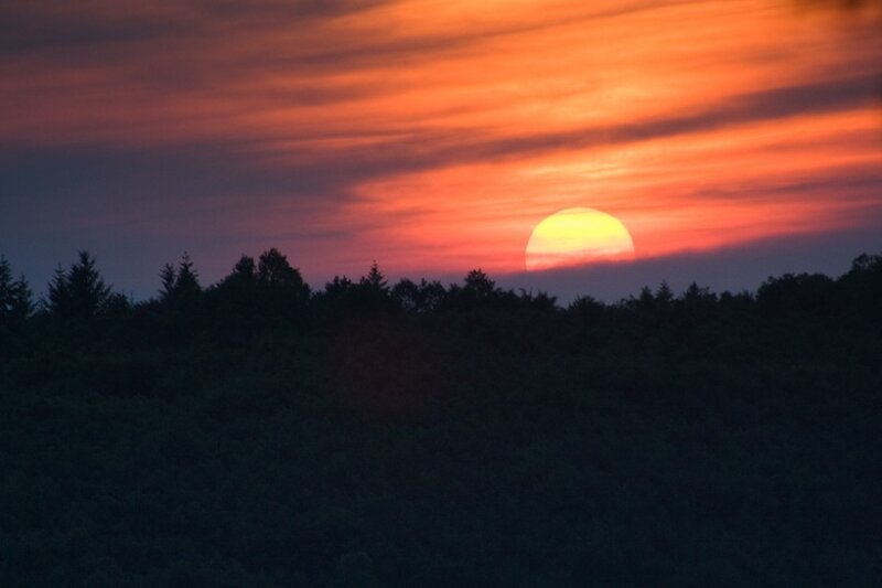Sun Setting Behind Trees — Orange, Dramatic