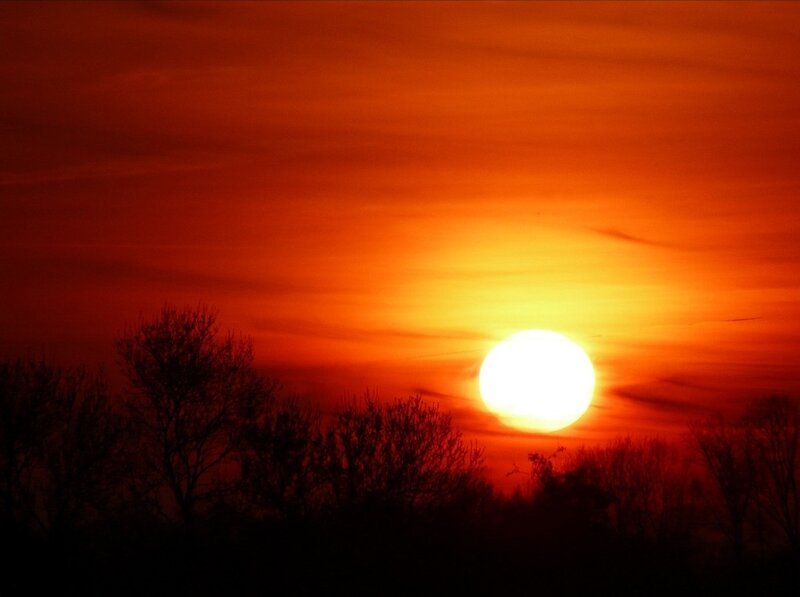 Sun Setting Behind Trees — Orange, Photograph