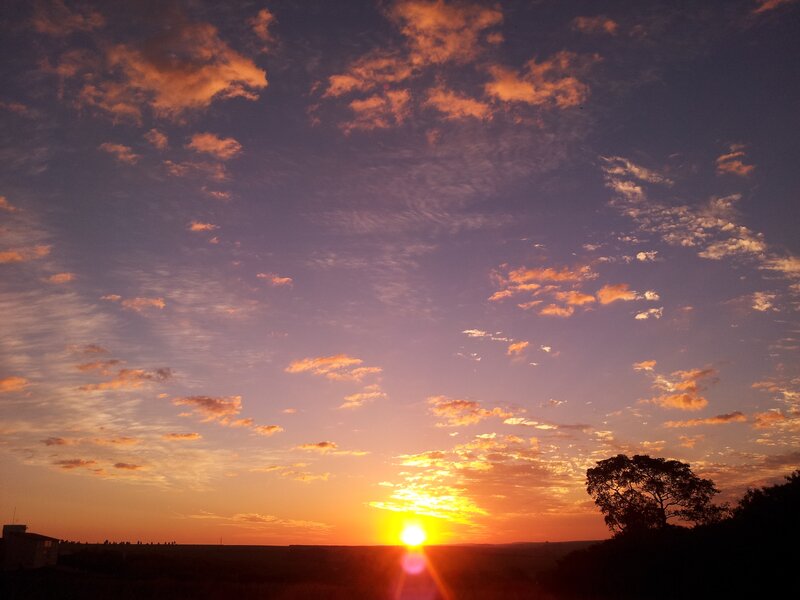 Sun Setting Behind Trees — Orange, Serene, Sunset, Photograph, Clouds, Building