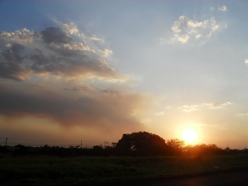 Sun Setting Behind Trees — Orange, Serene, Sunset, Photograph, Clouds, Power Lines