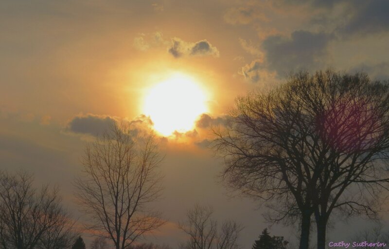 Sun Setting Behind Trees — Orange, Serene, Sunset, Photograph, Clouds, Sky