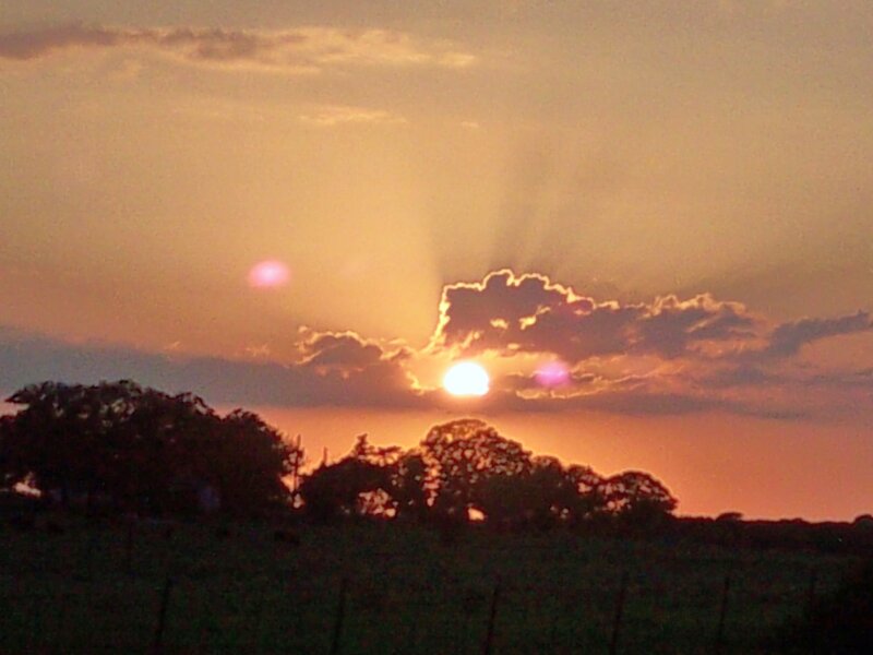 Sun Setting Behind Trees — Orange, Serene, Sunset, Photograph, Clouds, Sky, Yellow, Purple