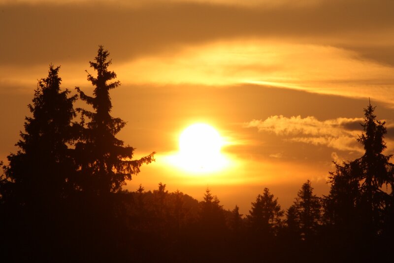 Sun Setting Behind Trees — Orange, Serene, Sunset, Photograph, Clouds