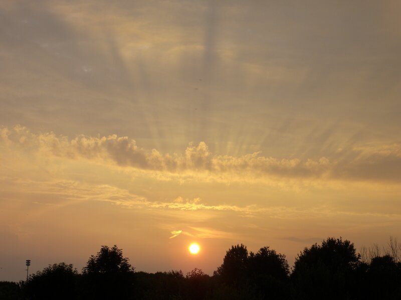 Sun Setting Behind Trees — Orange, Serene, Sunset, Photograph, Clouds, Yellow, Gray