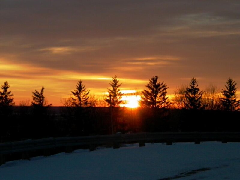 Sun Setting Behind Trees — Orange, Serene, Sunset, Photograph, Guardrail