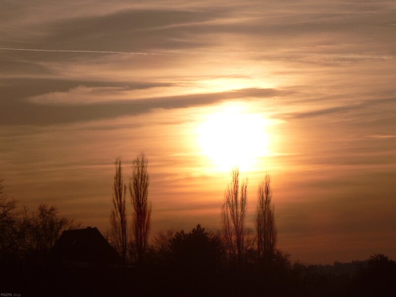 Sun Setting Behind Trees — Orange, Serene, Sunset, Photograph, House, Sky