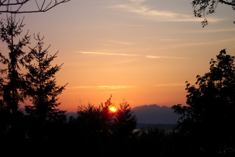 Sun Setting Behind Trees — Orange, Serene, Sunset, Photograph, Mountains, Sky