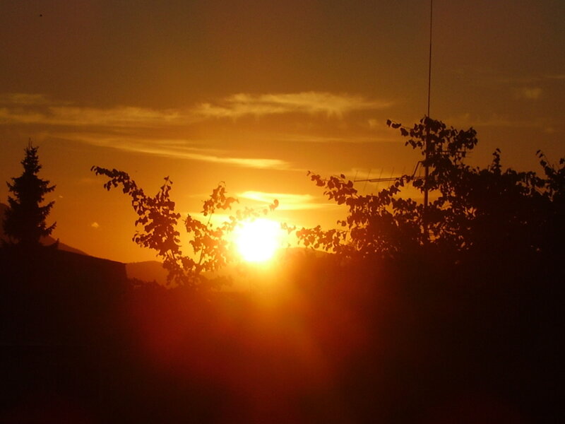 Sun Setting Behind Trees — Orange, Serene, Sunset, Photograph, Mountains