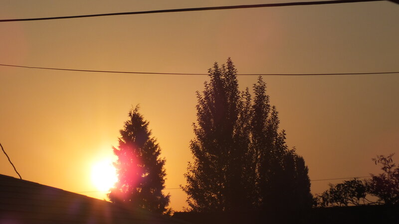 Sun Setting Behind Trees — Orange, Serene, Sunset, Photograph, Power Lines