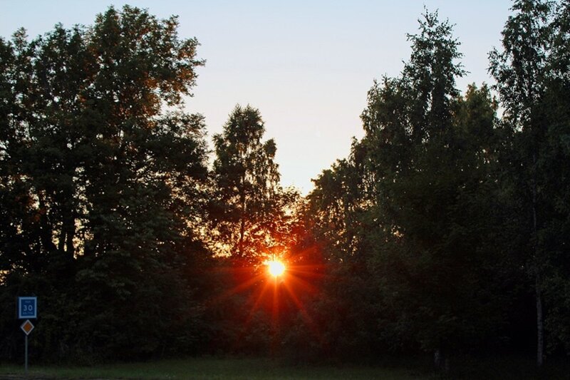 Sun Setting Behind Trees — Orange, Serene, Sunset, Photograph, Road Sign