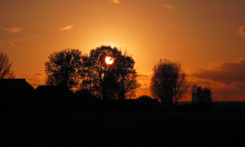 Sun Setting Behind Trees — Orange, Serene, Sunset, Photograph, Sky, Buildings