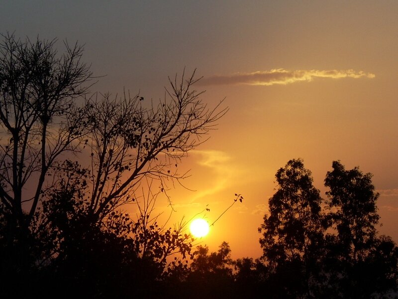Sun Setting Behind Trees — Orange, Serene, Sunset, Photograph, Sky, Cloud