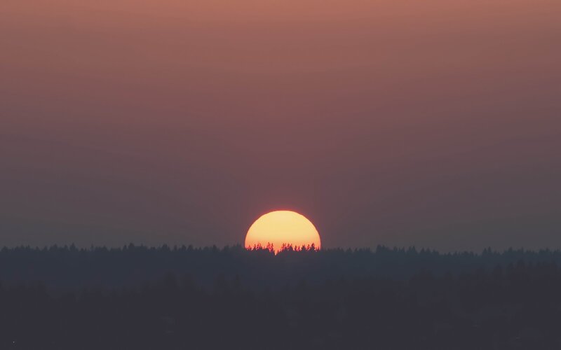 Sun Setting Behind Trees — Orange, Serene, Sunset, Photograph, Sky, Purple