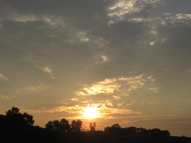 Sun Setting Behind Trees — Orange, Serene, Sunset, Photograph