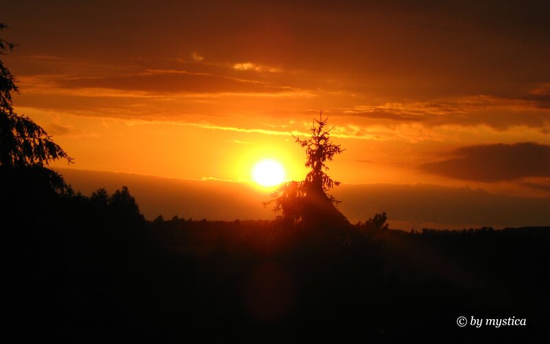 Sun Setting Behind Trees — Orange, Sky
