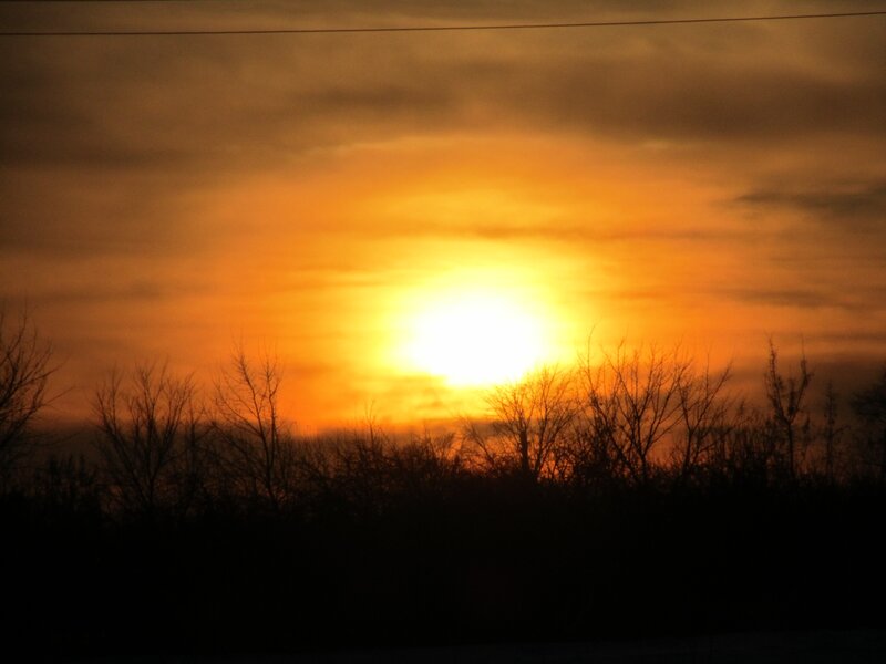 Sun Setting Behind Trees — Orange, Sunset