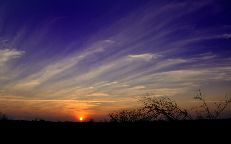 Sun Setting Behind Trees — Purple, Dramatic, Sunset, Photograph