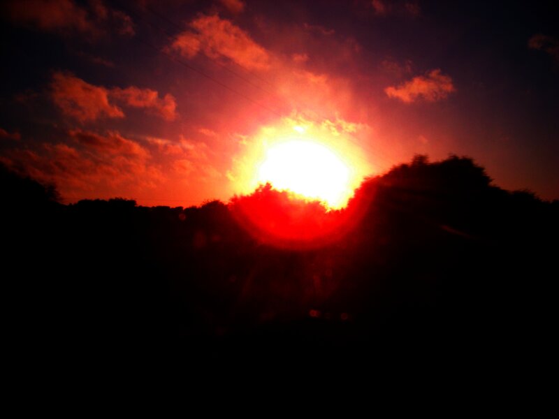 Sun Setting Behind Trees — Red, Dramatic, Sunset, Photograph, Clouds, Sky