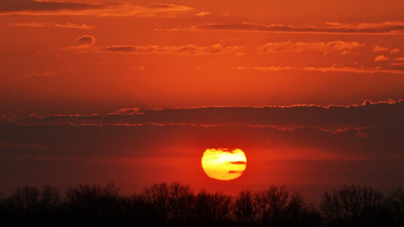 Sun Setting Behind Trees — Red, Dramatic, Sunset, Photograph, Clouds