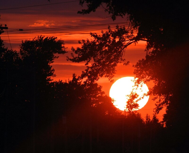Sun Setting Behind Trees — Red, Dramatic, Sunset, Photograph, Power Lines