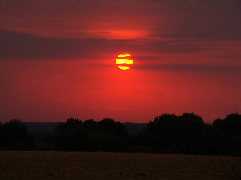 Sun Setting Behind Trees — Red, Dramatic, Sunset, Photograph, Sky