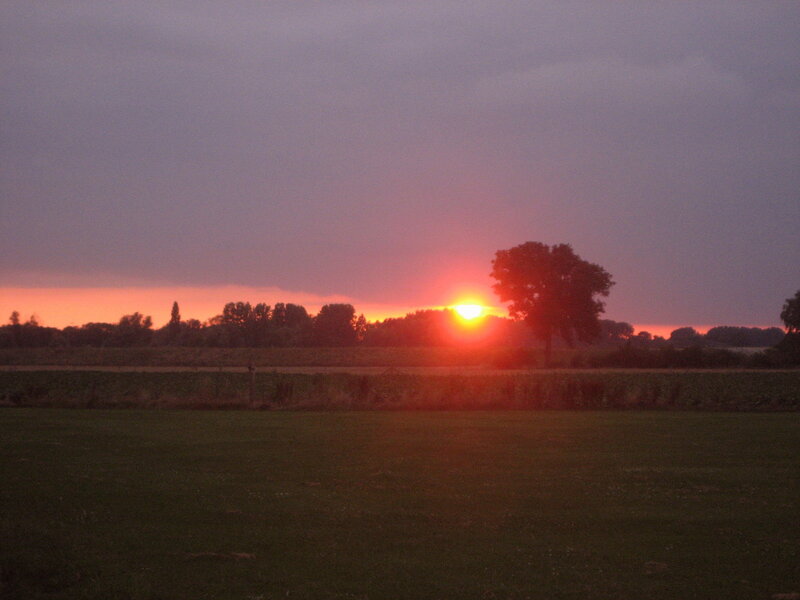 Sun Setting Behind Trees — Red, Dramatic, Sunset, Photograph