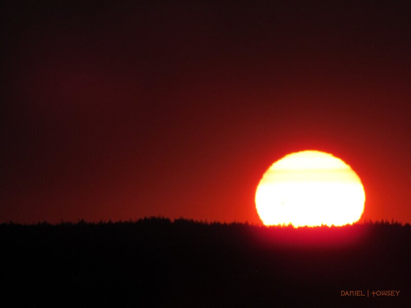Sun Setting Behind Trees — Red, Dramatic, Sunset