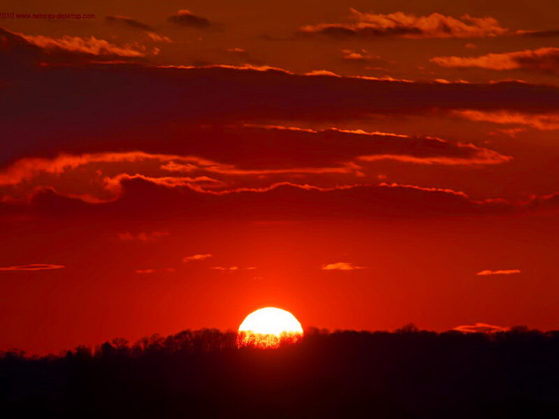 Sun Setting Behind Trees — Red, Dramatic