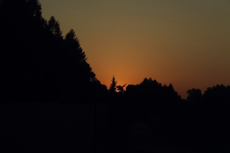 Sun Setting Behind Trees — Serene, Sunset